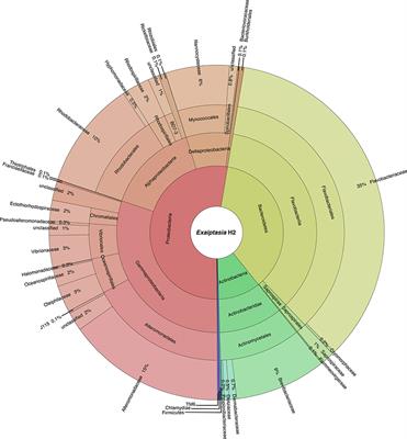 Laboratory-Cultured Strains of the Sea Anemone Exaiptasia Reveal Distinct Bacterial Communities